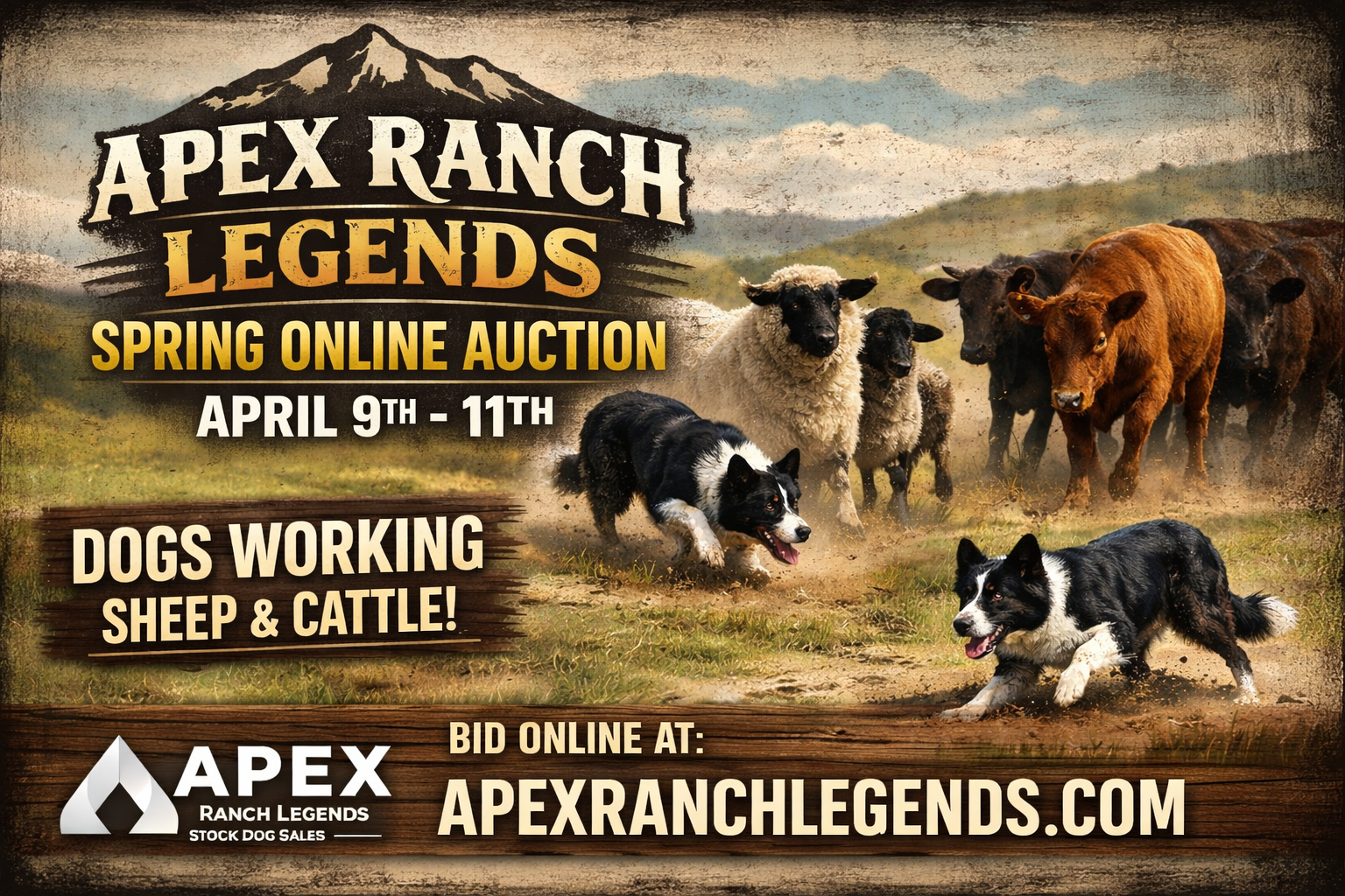 Apex Ranch Legends Spring Online Auction | Apex Ranch Legends