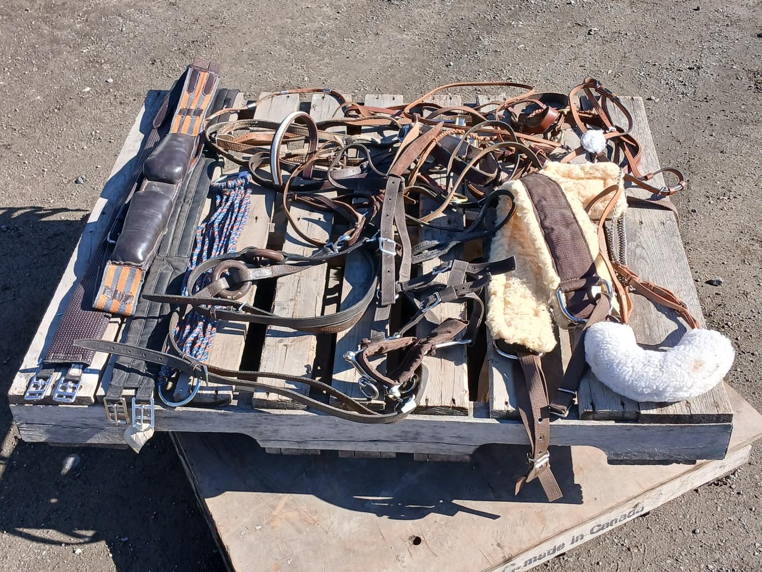 Misc Horse Tack [25DB32995-017] | Team Auctions