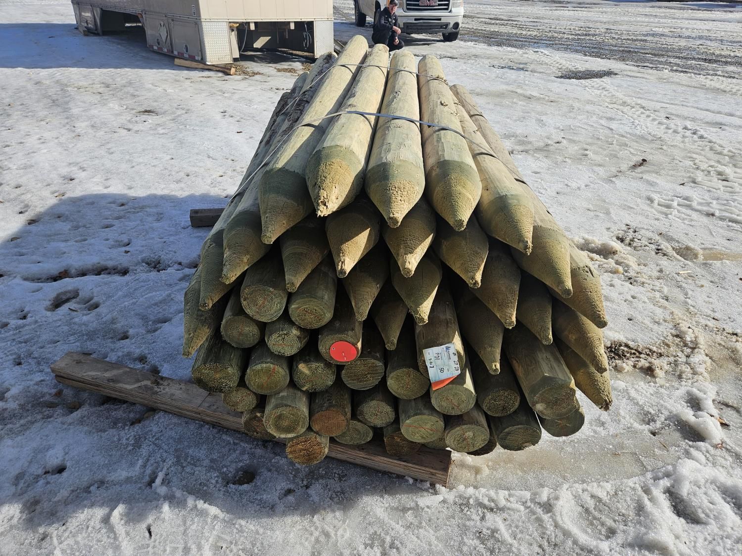 (50) 5-6 Inch X 8 Ft Treated Fence Posts (Unused) [25CD10993-012 ...