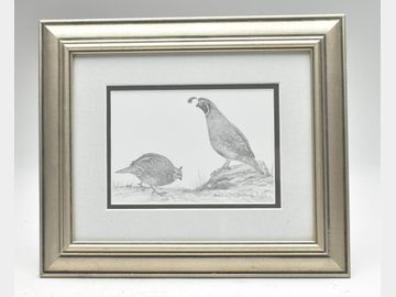 Four pencil drawings of upland game birds, David Hagerbaumer, b. 1921.