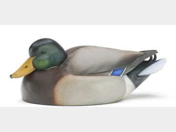 Mallard, Chris Pusey, Ocean City, Maryland.