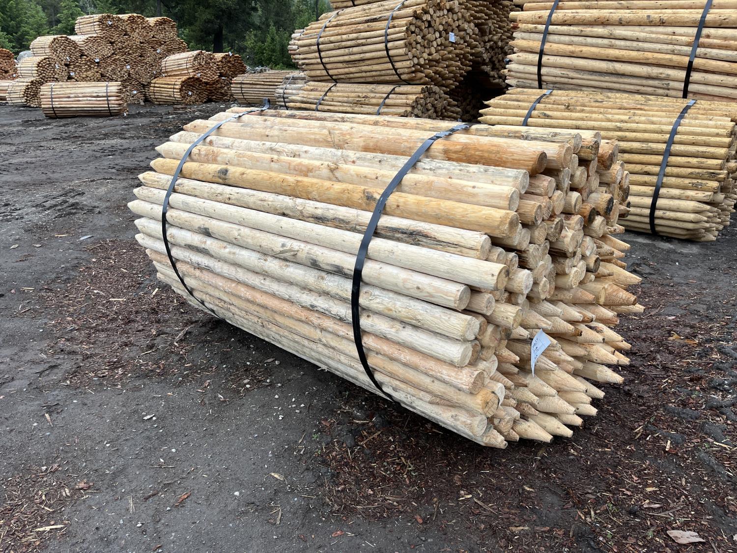 (180) 2-3 Inch X 6 Ft Pointed Fence Posts [24FN03010-055] | Team Auctions