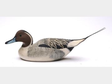 Miniature pintail, William Cranmer,