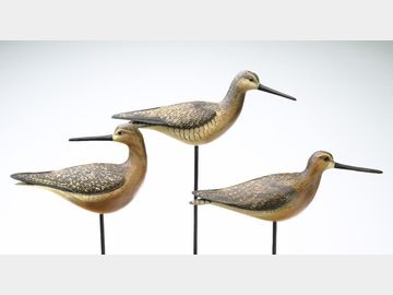 3 dowitchers, William Gibian, Onnancock, Virginia