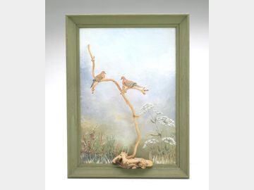 Two miniature doves, General Chet DeGavre, Onnancock, Virginia