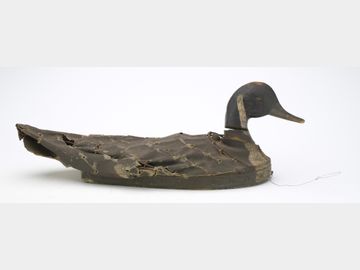 Canvas over wire pintail from North Carolina.