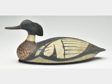 Merganser, Reggie Birch, Chincoteague, Virginia