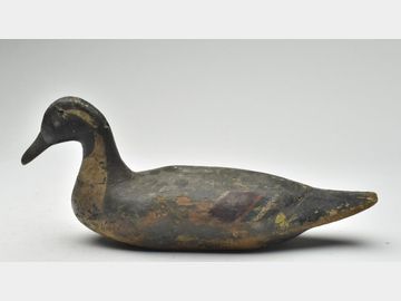 Pintail, William Howard, New Orleans, Louisiana