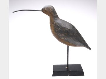 Curlew, Pete Peterson, Cape Charles, Virginia