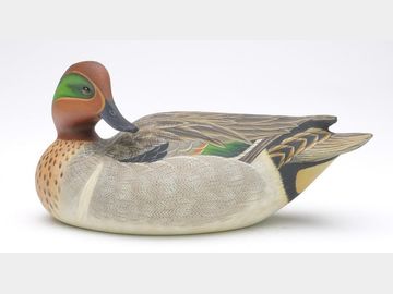 Green wing teal, Ben Heinemann, Durham, North Carolina.