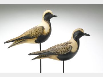 William Gibian (b.1946), Onancock, Virginia.