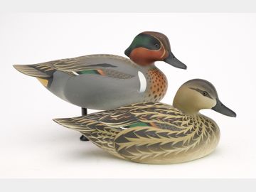 Pair of green wing teal, Oliver Lawson, Crisfield, Maryland.
