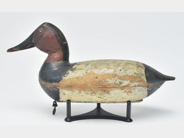 Canvasback, Robert Elliston, Bureau, Illinois.