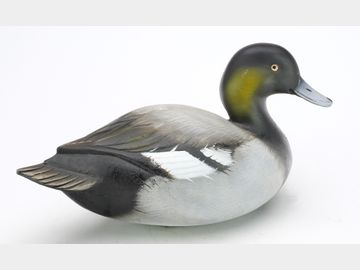 Bluebill, Sean Sutton, Paulsboro, New Jersey.