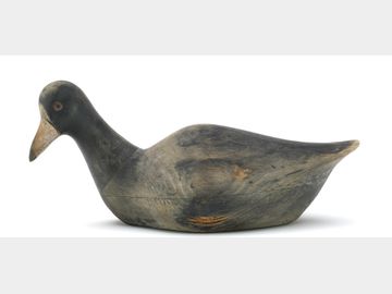 Coot, Pete Peterson, Cape Charles, VIrginia.