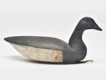 Brant, Henry Grant, Barnegat, New Jersey.
