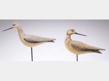 Two yellowlegs, William Gibian, Onancock, Virginia.