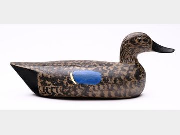 Blue wing teal, Charles Schoenheider Jr., Peoria, Illinois