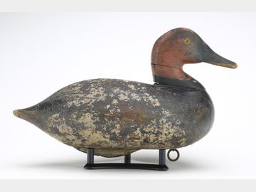 Canvasback, John 'Daddy' Holly, Havre de Grace, Maryland.