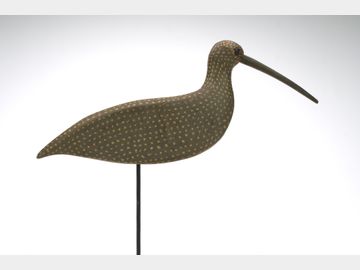 Curlew (1st quarter 20th century), Cape May County, New Jersey.