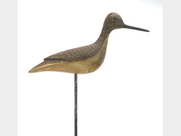 Yellowlegs, Mark McNair, Craddockville, Virginia.