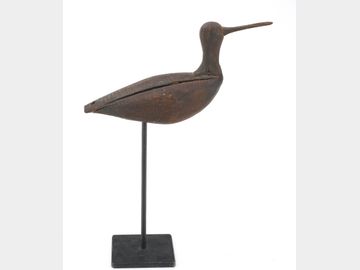 Dunlin from the Eastern shore of Virginia.