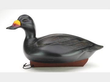 Scoter, Sean Sutton, Paulsboro, New Jersey.