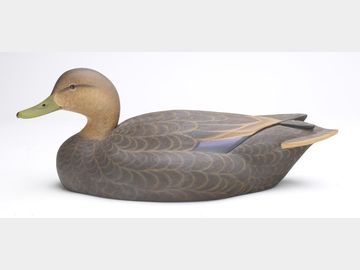 Black duck, Martin Hanson, Prior Lake, Minnesota.