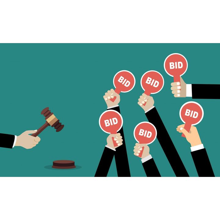 Bidding Options