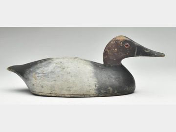 Hollow carved canvasback from Ontario.