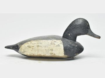 Early bluebill, Duncan Ducharme, St. Ambroise, Manitoba, Canada