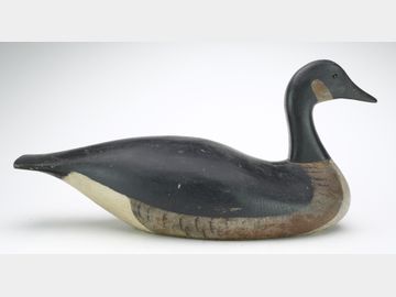 Canada goose, Joseph Lincoln, Accord, Massachusetts.