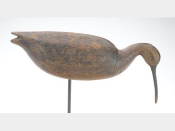 Curlew, Cameron McIntyre, New Church, Virginia.