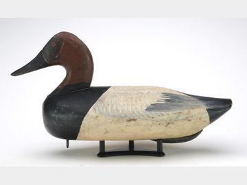 Canvasback, Capt Jess Uries, Rock Hall, Maryland.