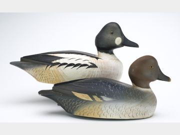 Pair of goldeneyes, Reg Bloom, Kingston, Ontario.