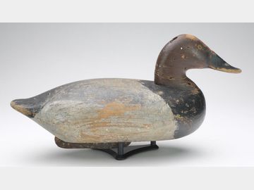 Canvasback, John Holly, Havre de Grace, Maryland.