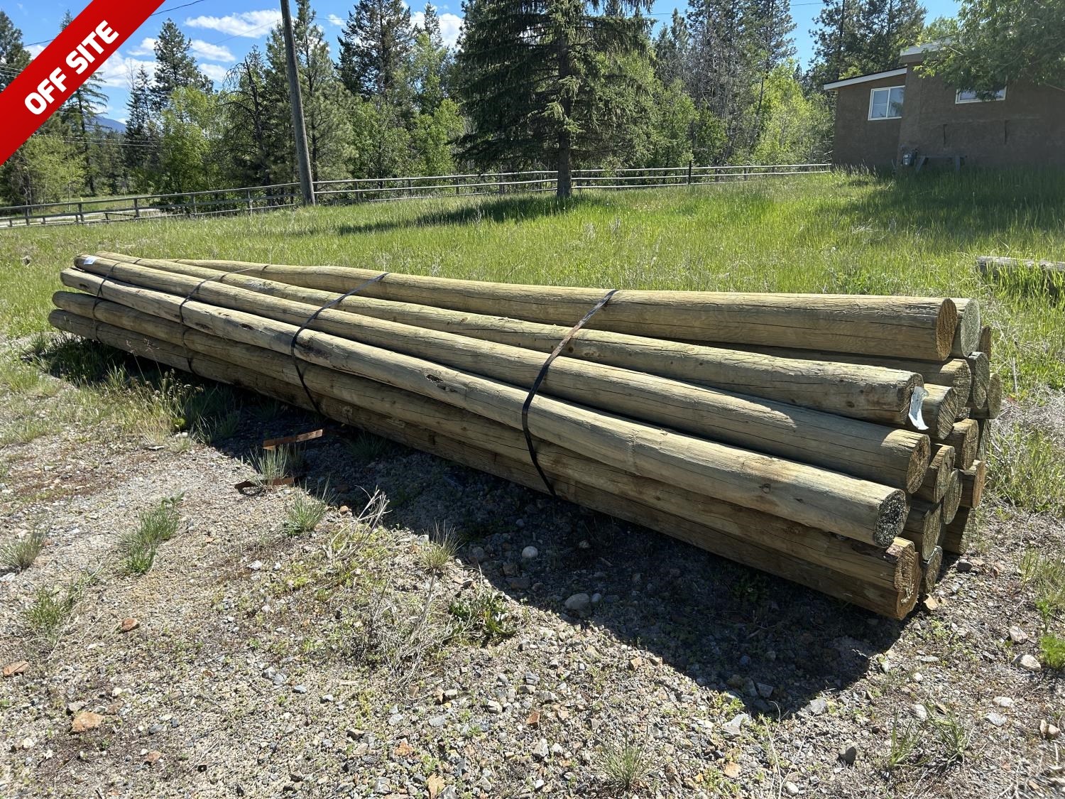 (35) 6-7 Inch X 20 Ft Treated Blunt Poles (Unused) [24FN03998-019 ...