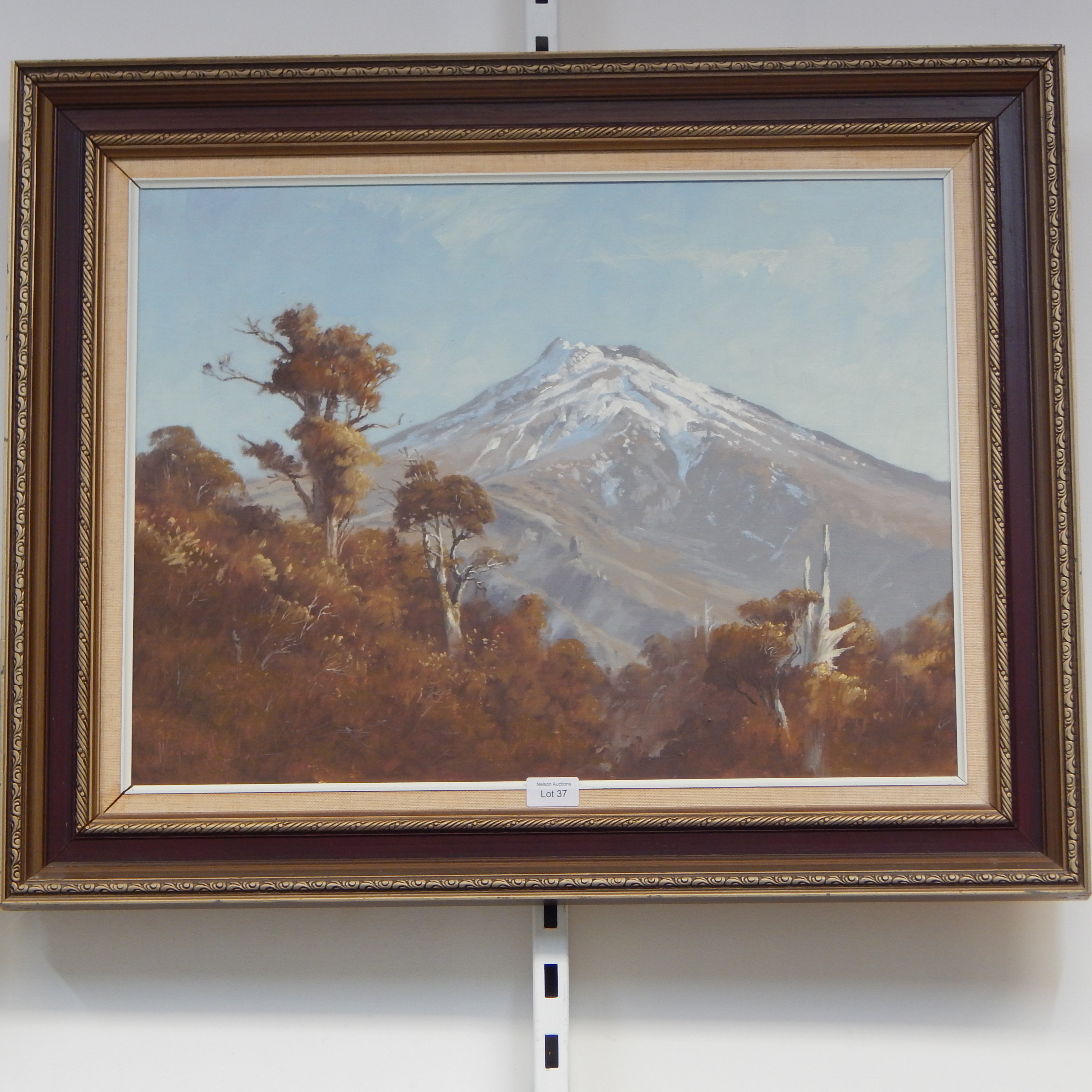 Wayne Sinclair Mount Taranaki - oil on board Estimate $200 to $400 — NZ auction result