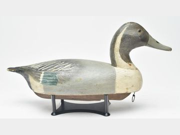 Pintail, Ben Schmidt, Detroit, Michigan.