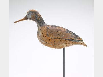 Yellowlegs from Cobb Island, Virginia.