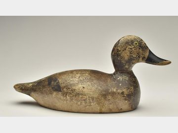 Bluebill hen, Evans Decoy Factory, Ladysmith, Wisconsin.