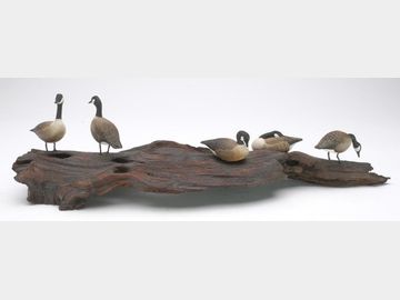 Miniature goose flock, General Chet DeGavre, Onancock, Virginia.