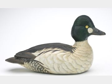 Goldeneye, Len Carnaghi, Washington Township, Michigan.