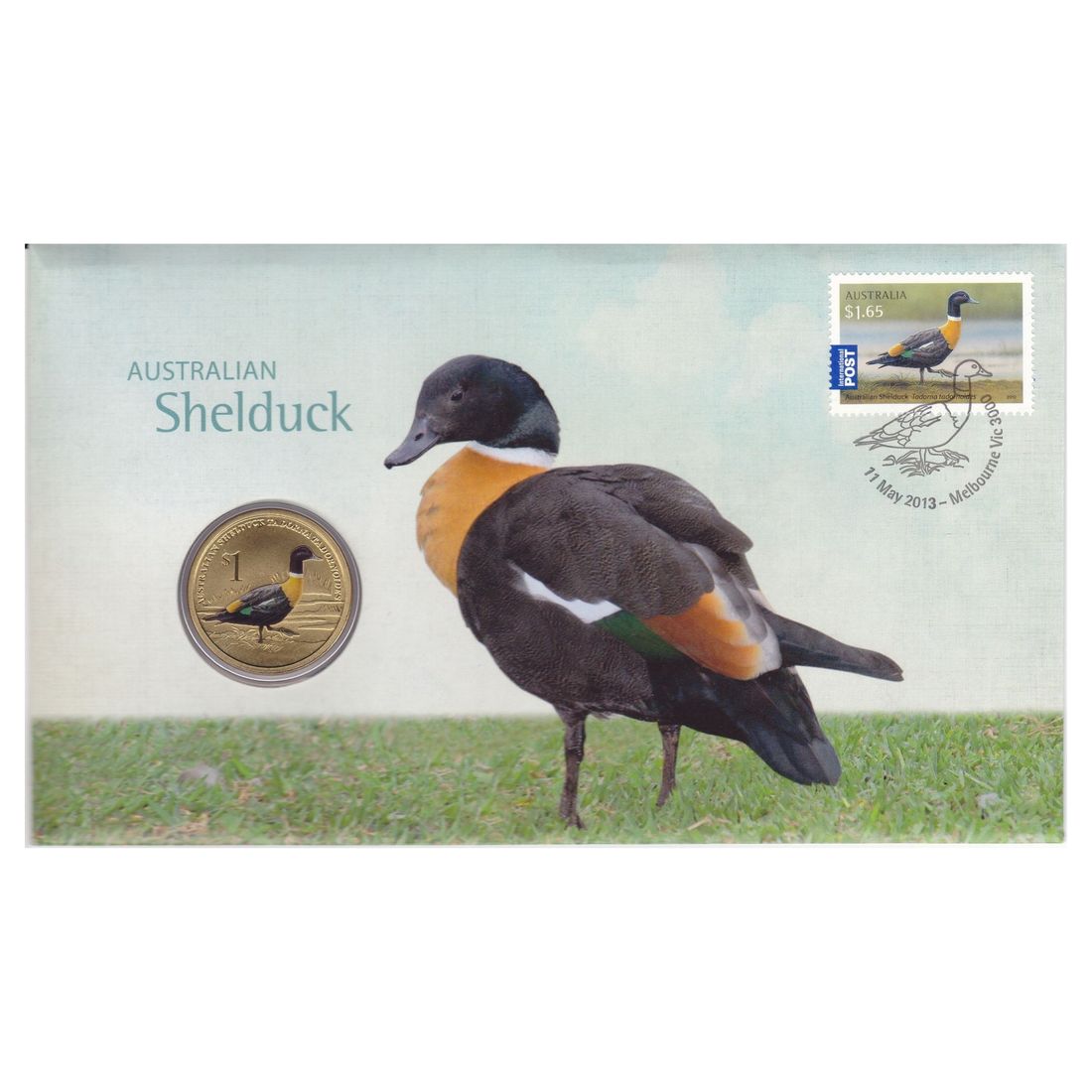 Tuvalu 2013 $1 (Coloured) Shelduck Stamp and Coin Cover
