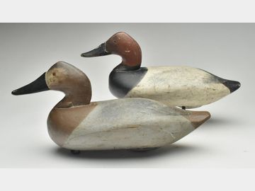 Canvasback hen and drake, Jim Currier, Havre de Grace, Maryland