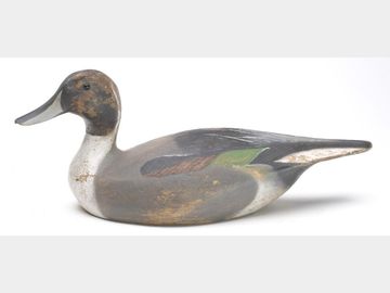 Pintail, Ward brothers, Crisfield, Maryland.