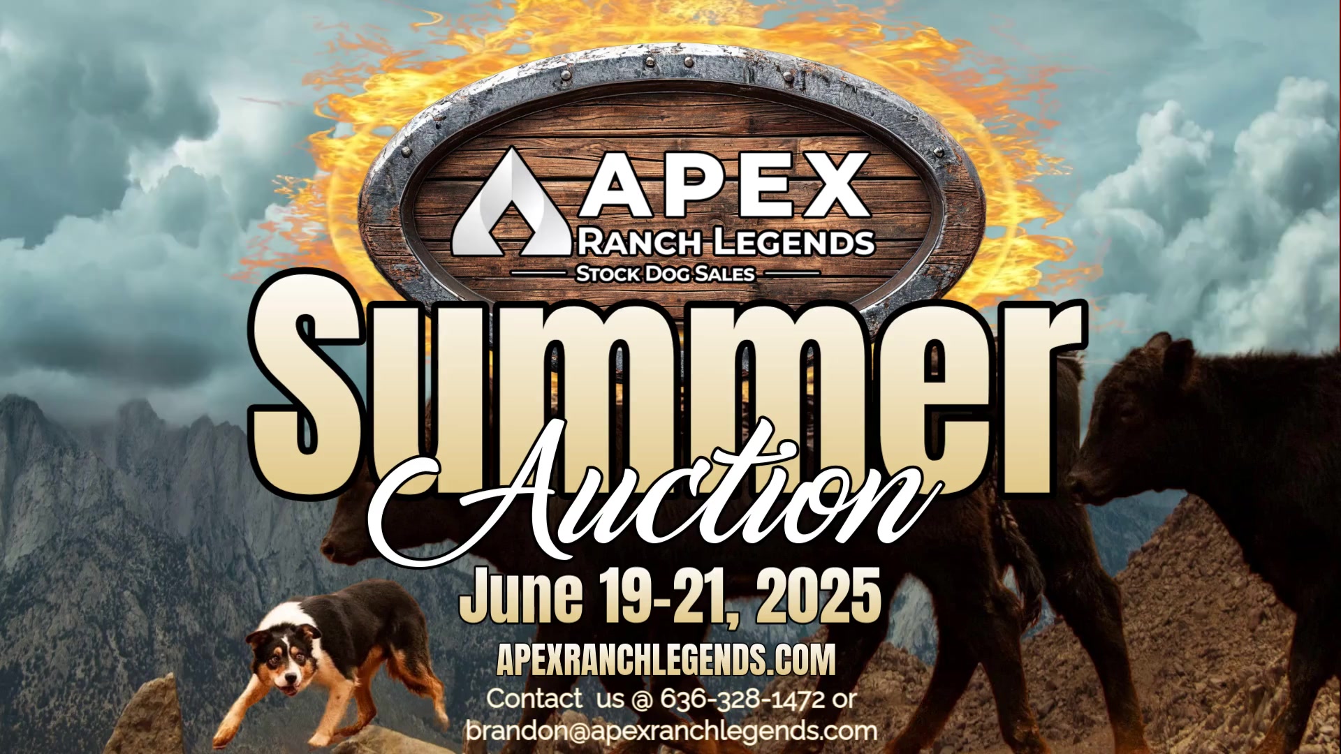 Apex Ranch Legends Summer Sale | Apex Ranch Legends