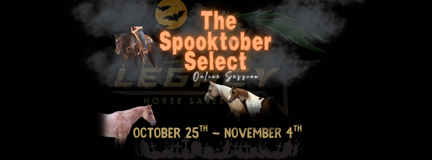 The Spooktober Select 🎃🕷️ | Legacy Horse Sales