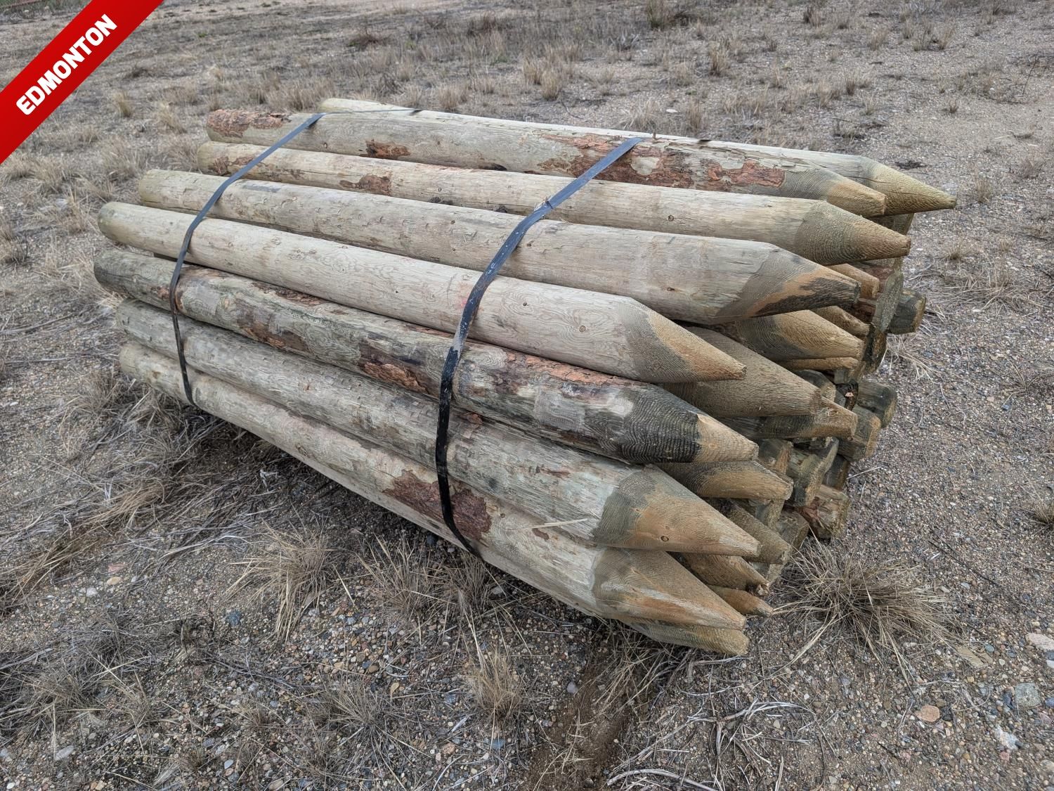 (50) 5-6 Inch X 7 Ft Treated Pointed Posts [25BF10791-018] | Team Auctions