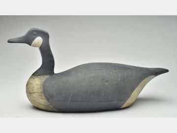 Canada goose, Joseph Lincoln, Accord, Massachusetts.